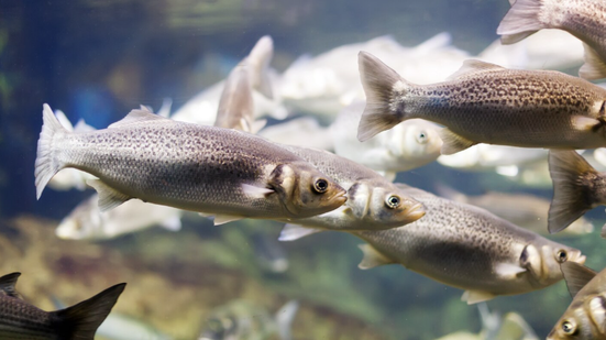 Imagem meramente ilustrativa - Foto: Reprodução/Freepik