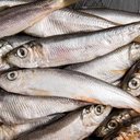 Reprodução/Freepik