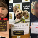 Divulgação / Polícia Civil de São Paulo