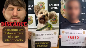 Divulgação / Polícia Civil de São Paulo
