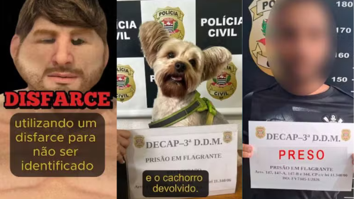 VÍDEO: homem usa máscara realista para furtar cão de ex em pet shop