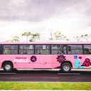 Serão quatro veículos atendendo quatro linhas nessa etapa piloto do programa - Foto: DMTT