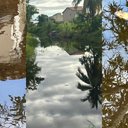 Caso registrado na Barra de São Miguel foi comunicado ao IMA e à Secretaria Municipal de Meio Ambiente - Foto: Reprodução