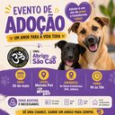 Imagem Abrigo São Cão vai realizar evento de adoção de cães neste sábado (30)
