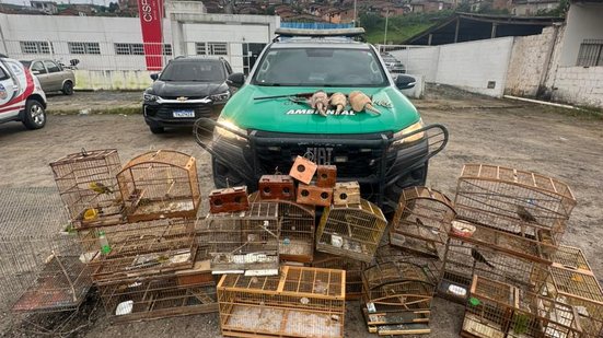 Divulgação/BPA