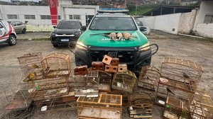 Divulgação/BPA