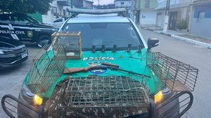 Imagem Polícia Militar apreende arma de fogo, animais silvestres e realiza soltura