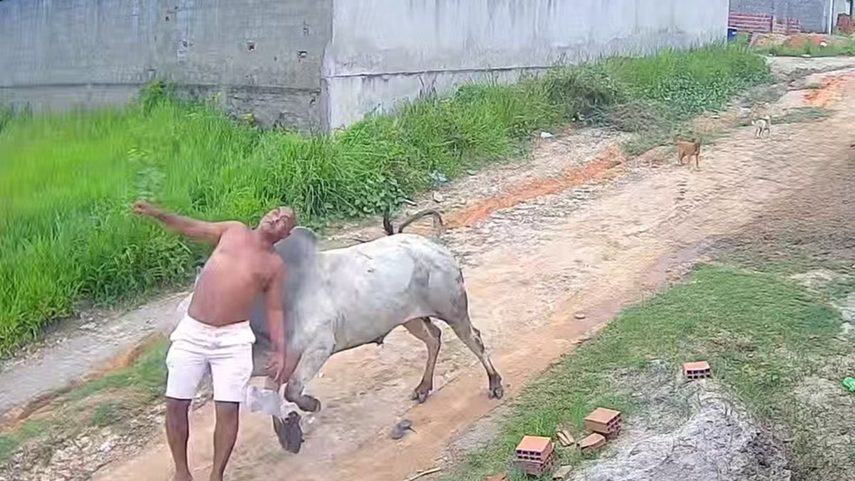 Vídeo: homem é arremessado ao levar cabeçada de boi no interior de PE