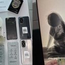 Divulgação/Ascom Seris