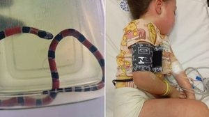 Foto: Reprodução/Arquivo Pessoal