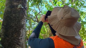 Ascom Defesa Civil de Maceió