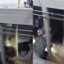 Foto: Divulgação / Vídeo cedido a O TEMPO por TV Banqueta