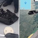 Marinha encontra colete salva-vidas boiando no mar durante buscas por homem que desapareceu em Ilhabela - Divulgação / GBMar