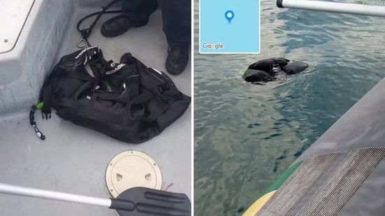 Marinha encontra colete salva-vidas boiando no mar durante buscas por homem que desapareceu em Ilhabela - Divulgação / GBMar