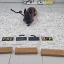 Divulgação / SSP