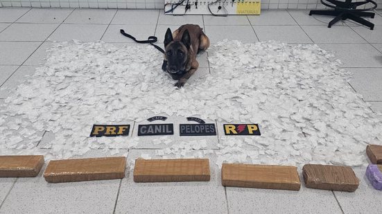 Divulgação / SSP