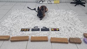 Divulgação / SSP