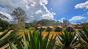 Imagem Santa Teresa, os sabores das montanhas do Espírito Santo