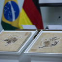 Exportação de fósseis prejudica ciência brasileira - Foto: Agência Brasil