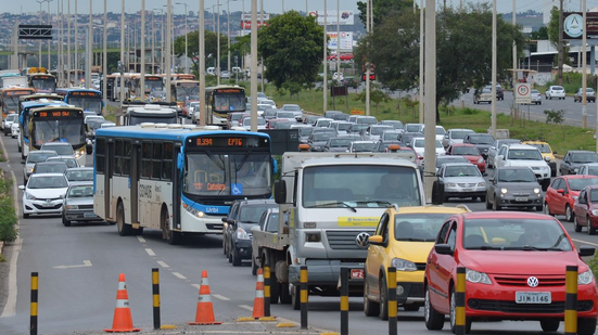Data será lembrada no terceiro domingo de novembro - Foto: Nncia Brasil
