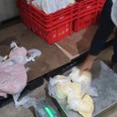 Fiscalização de rotina resultou no recolhimento de carnes, queijo, presunto e salsicha em um estabelecimento - Foto: Vigilância Sanitária de Maceió