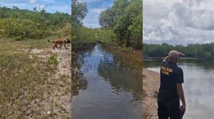 Polícia realiza operação para investigar possível cemitério clandestino em Coruripe - Foto: Reprodução