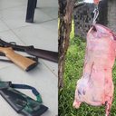 Batalhão de Polícia Ambiental também flagrou a criação irregular de guaiamus e registrou prisões durante a segunda fase da Operação Protetor dos Biomas - Foto: Ascom PM-AL