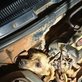 Cachorro caramelo é resgatado de motor de carro