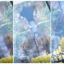 Adolescente cai de atração da Disney e despenca de altura de 15 metros - Reprodução / Redes sociais