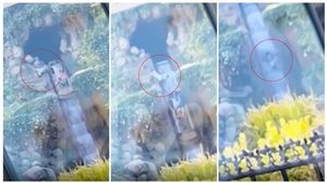 Adolescente cai de atração da Disney e despenca de altura de 15 metros - Reprodução / Redes sociais