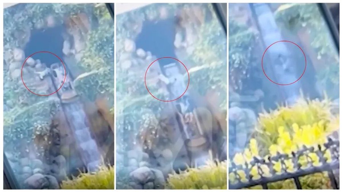 Adolescente cai de atração da Disney e despenca de altura de 15 metros