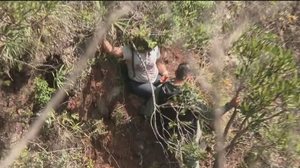 'Encontrei um buraco na pedra': mulher relata como sobreviveu após ser empurrada de penhasco pelo ex - Reprodução / Fantástico