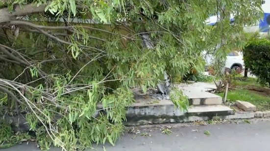 Árvore tomba e derruba poste sobre muro de casa na Jatiúca