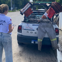 Polícia Civil apreende fios de cobre e arma de fogo durante operação conjunta com a Equatorial em Maceió - Foto: Reprodução