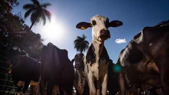 Foto: CNA/Wenderson Araujo/Trilu