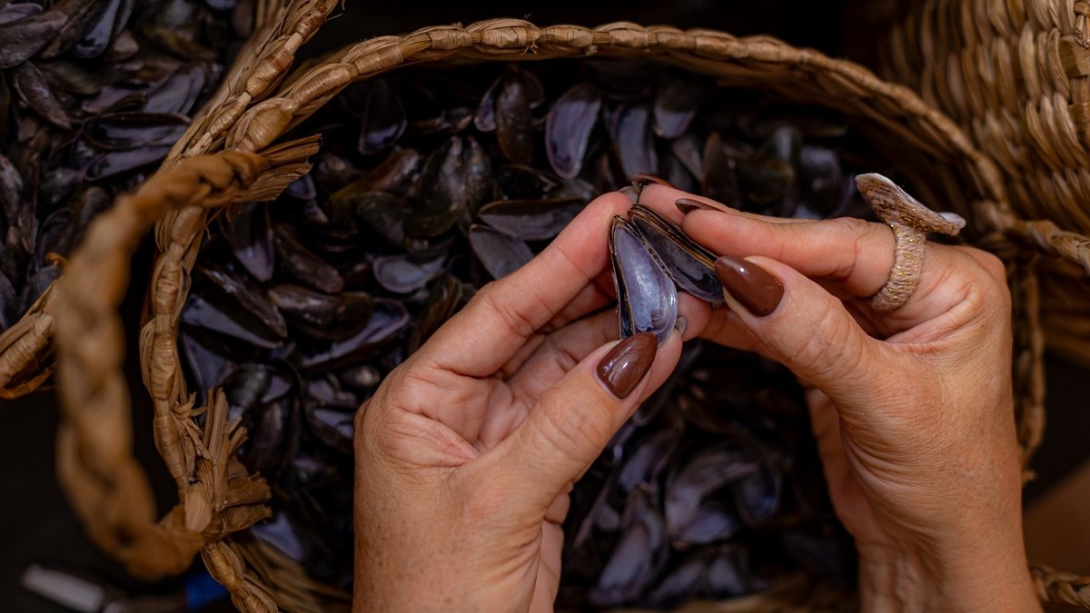 Mãos de Maré:  histórias que passam por águas, arte e força de artesãs do interior de Alagoas