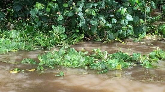 Corpo de pescador que estava desaparecido é encontrado na lagoa Mundaú - Divulgação / CBMAL
