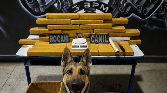 Imagem Casal de traficantes é preso com mais de 25 kg de drogas ao ser flagrado em carro, em Arapiraca