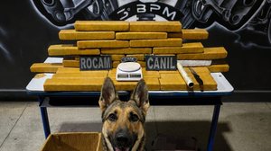 Imagem Casal de traficantes é preso com mais de 25 kg de drogas ao ser flagrado em carro, em Arapiraca