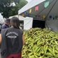 Milho, traque, chuvinha e mais: veja pesquisa de preços