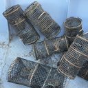 Imagem PM resgatou 680 animais e identificou 1,81 hectares de áreas desmatadas