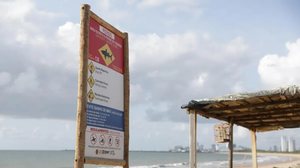 Tarcisio Augusto/Meio Ambiente Pernambuco