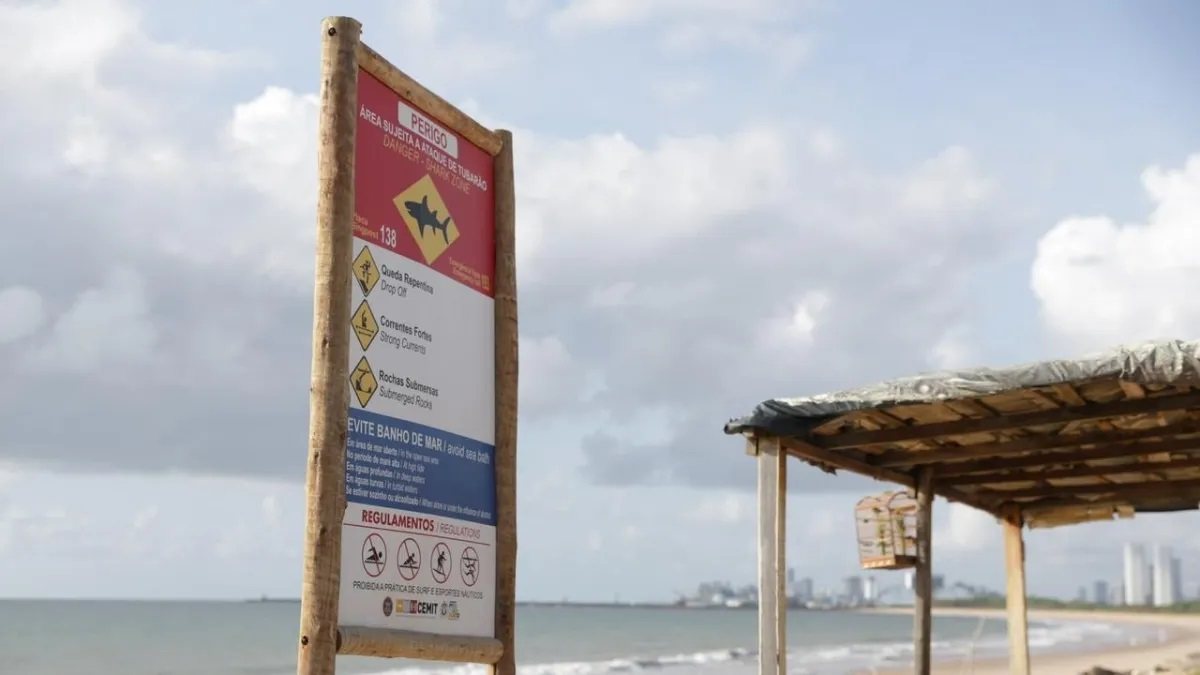 Como estão as vítimas de ataques de tubarão em Pernambuco?
