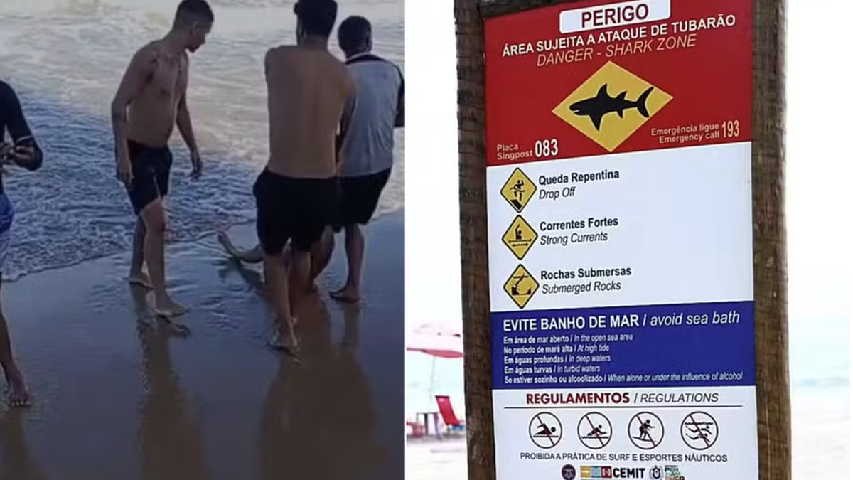 \u0027Fomos tomar um caldinho e se divertir\u0027, diz primo de mulher mordida por tubarão\u002Dtigre no Recife