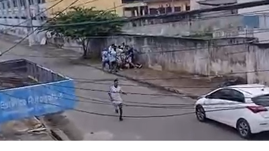 Reprodução