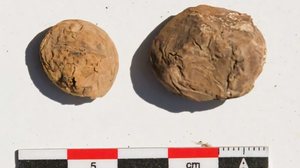Batatas desidratadas por congelamento de 500 anos estavam em bom estado de conservação, segundo arqueólogo - Lidio M. Valdez / Katrina J. Bettcher