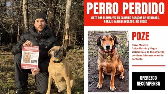 Cachorro 'frentista' famoso na internet desaparece durante viagem à Patagônia - foto Reprodução Instagram - Reprodução / Instagram