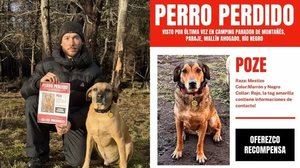 Cachorro 'frentista' famoso na internet desaparece durante viagem à Patagônia - foto Reprodução Instagram - Reprodução / Instagram