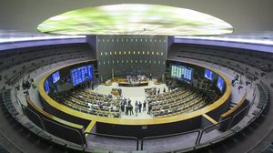Roque de Sá/Agência Senado/Direitos reservados