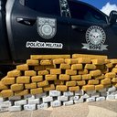 Carga de maconha apreendida por militares do Bope em Porto Real do Colégio - SSP-AL